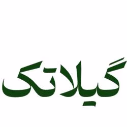 گیلاتک